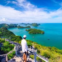 Отзыв от Анатолий - DTV виза